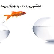 جانشین پروری چه تفاوتی با جایگزین سازی دارد؟