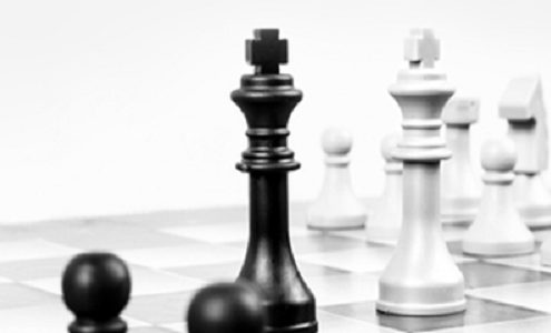 leadership development