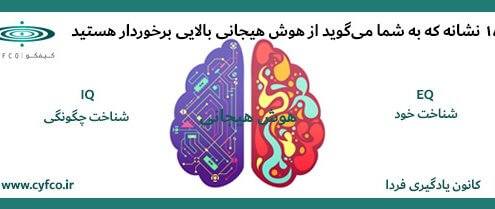 هوش هیجانی