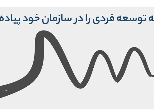 برنامه توسعه فردی (idp)